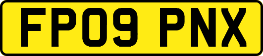 FP09PNX