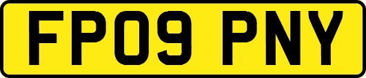 FP09PNY