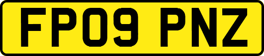 FP09PNZ