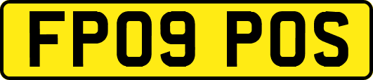 FP09POS