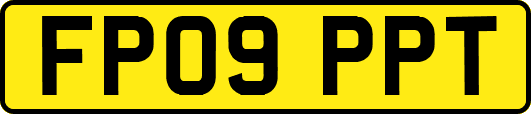 FP09PPT