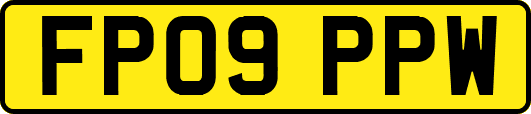 FP09PPW