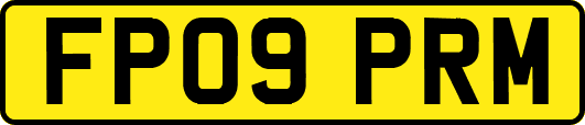 FP09PRM