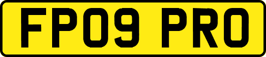 FP09PRO