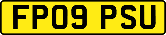 FP09PSU