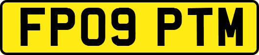 FP09PTM