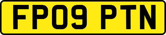 FP09PTN