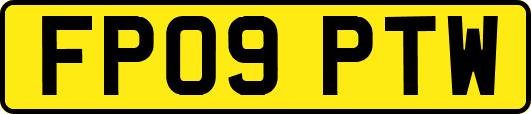 FP09PTW