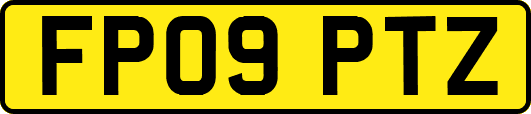FP09PTZ