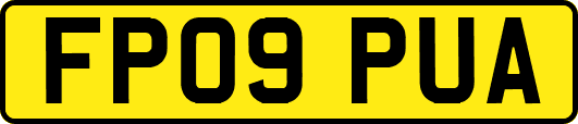 FP09PUA