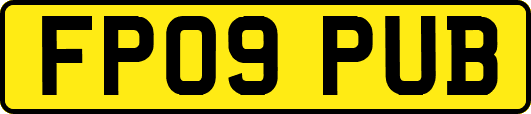 FP09PUB