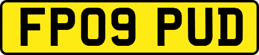 FP09PUD