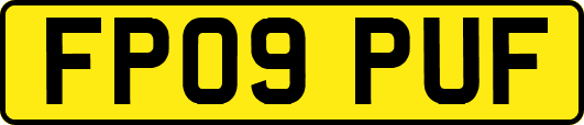 FP09PUF