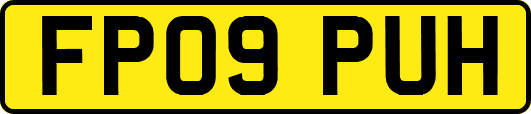 FP09PUH