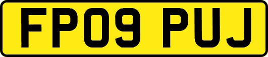 FP09PUJ