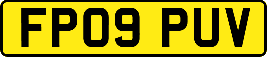 FP09PUV