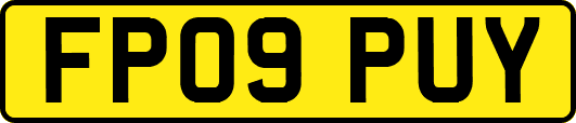 FP09PUY