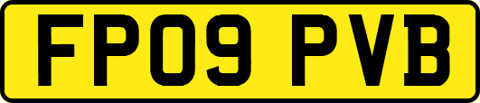 FP09PVB