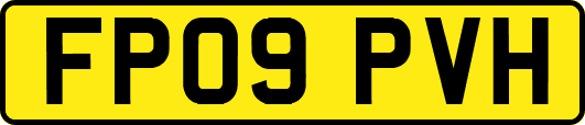 FP09PVH