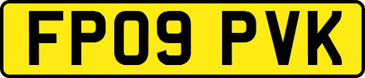 FP09PVK
