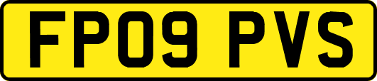 FP09PVS