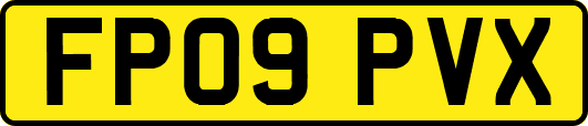 FP09PVX