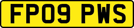FP09PWS