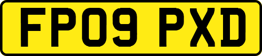 FP09PXD