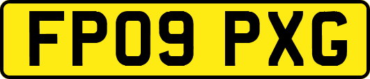 FP09PXG