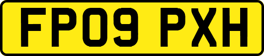 FP09PXH