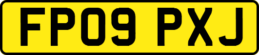 FP09PXJ