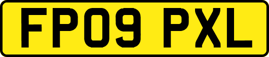 FP09PXL