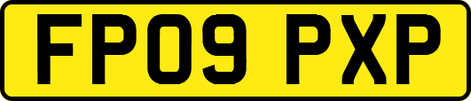 FP09PXP