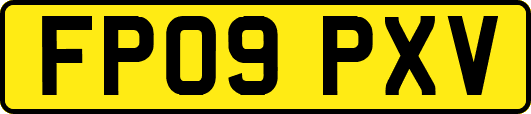 FP09PXV