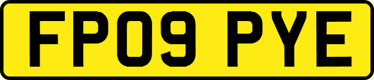 FP09PYE