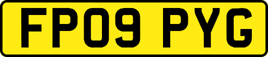 FP09PYG