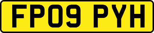 FP09PYH