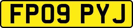 FP09PYJ