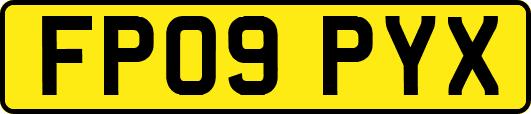 FP09PYX
