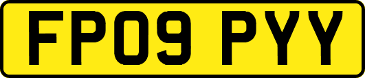 FP09PYY