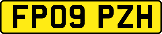 FP09PZH