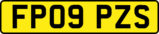FP09PZS