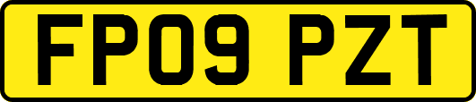 FP09PZT
