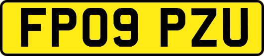 FP09PZU