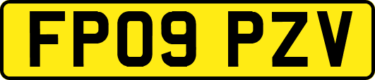 FP09PZV