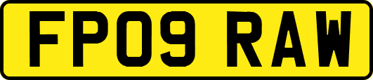 FP09RAW