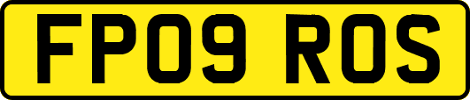 FP09ROS