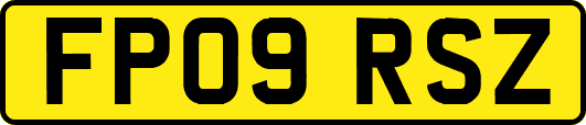 FP09RSZ