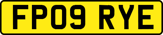 FP09RYE