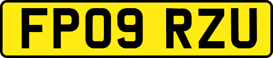 FP09RZU
